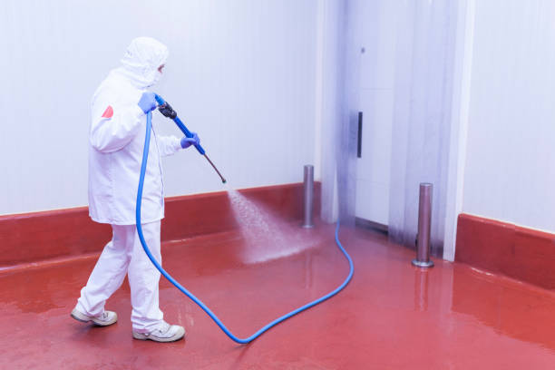 Best Rust Removal  in Woodlynne, NJ
